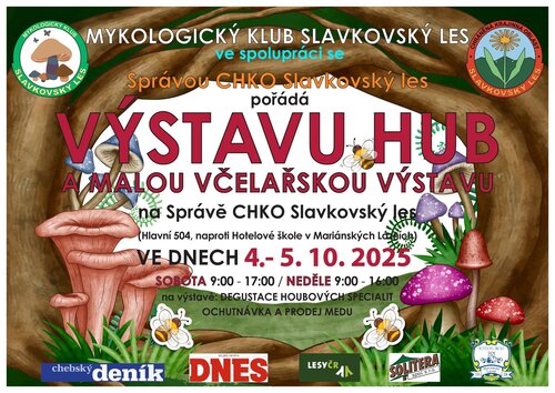 Plakat_Vystava hub v ML_2025