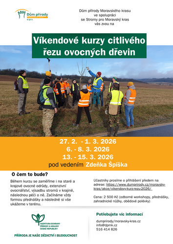 Řez dřevin
