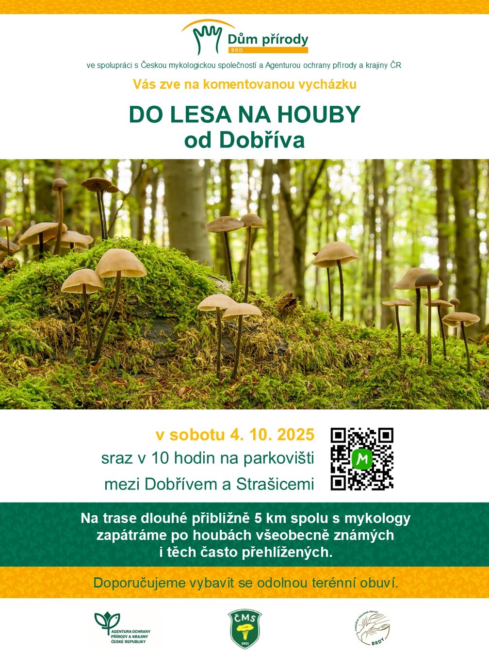 Houby 4. 10.