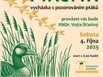 Festival ptactva