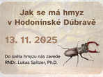Jak se má hmyz v Hodonínské Dúbravě Jak se má hmyz v Hodonínské Dúbravě