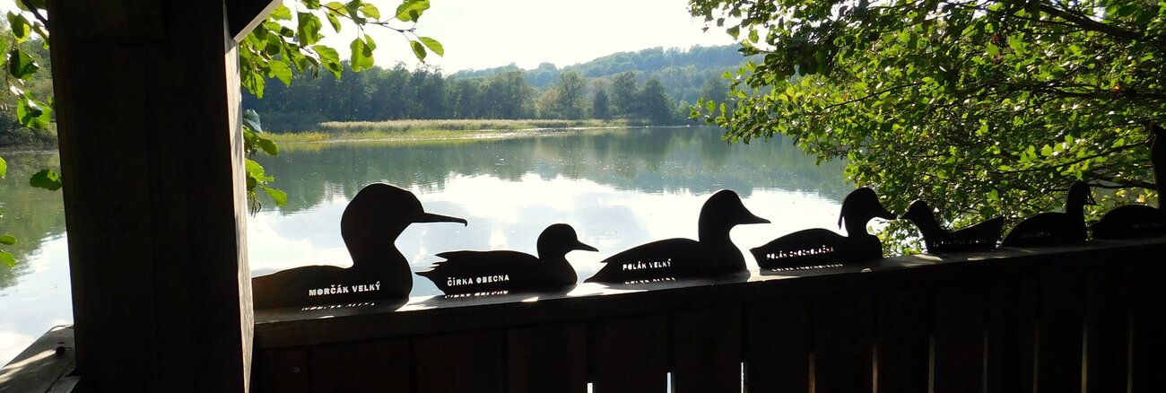 Putování z Borku do Borku