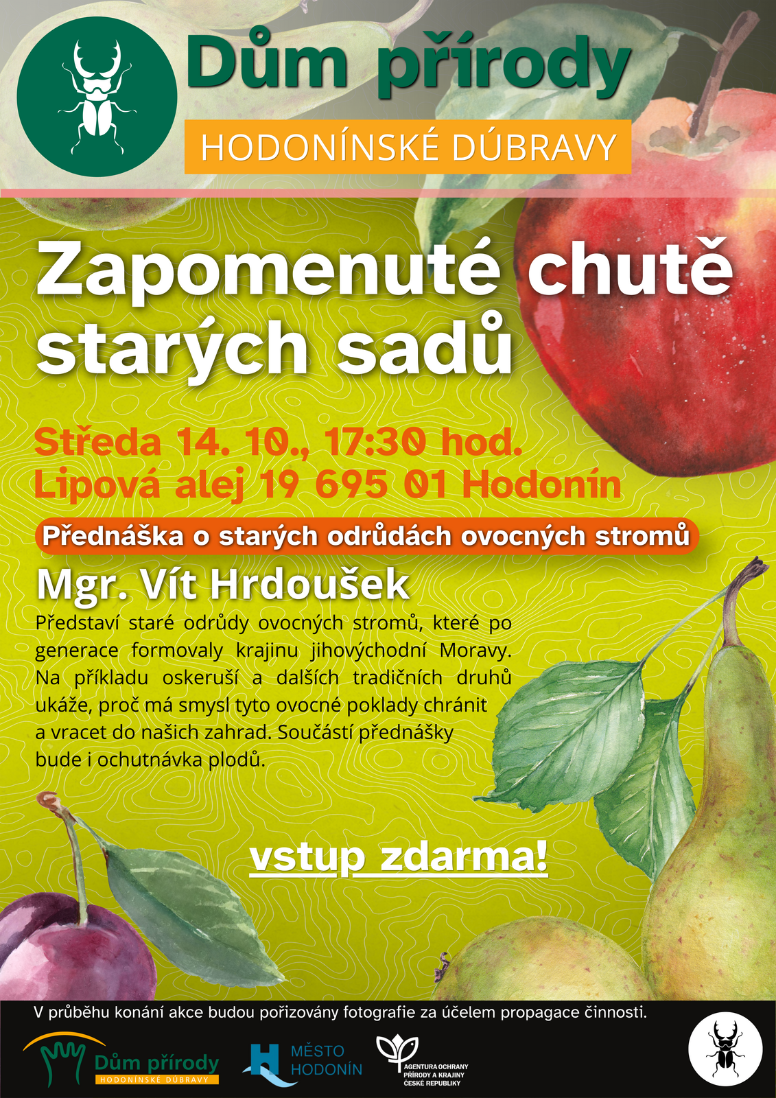 Zapomenué chutě Zapomenué chutě