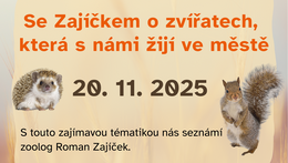 Žijí s námi ve městě