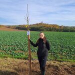 Strom zasazený za STŘEVLIK, p.o. a Dům přírody Českého ráje