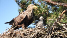 Zimní přednášky v Domě přírody Českého ráje: Český ráj - moje velká láska