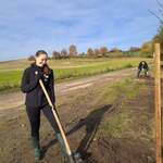 Sázení stromů pod Humprechtem