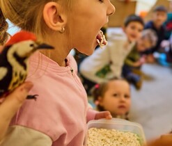 Edukační program Kolik pater má strom