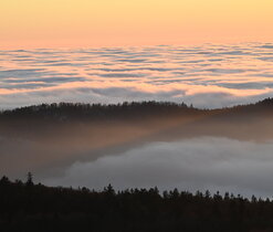 Vyhlášení výsledků fotosoutěže Český les 2025