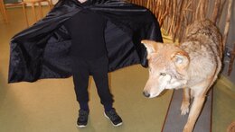 Netopýří noc v Domě přírody Českého ráje