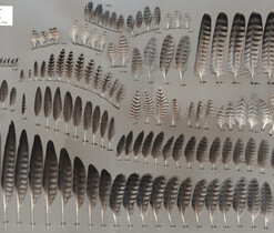 featherbase_info_1698 featherbase_info_1698