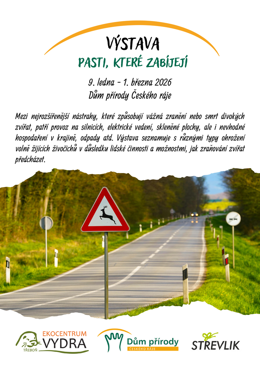 Pozvánka na výstavu PASTI, KTERÉ ZABÍJEJÍ Pozvánka na výstavu PASTI, KTERÉ ZABÍJEJÍ