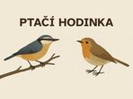 Ptačí hodinka