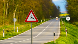 Výstava Pasti, které zabíjejí