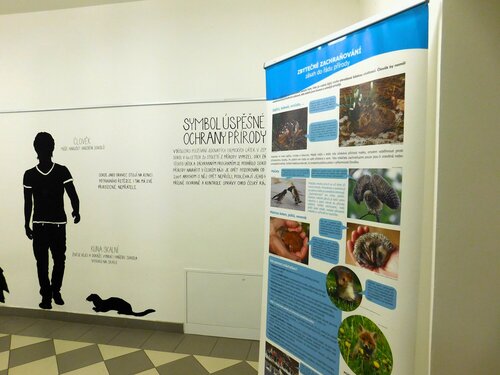 Roll-upová výstava vám představí nezamýšlené pasti