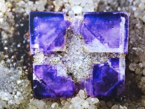 IMG_20251228_155248 IMG_20251228_155248