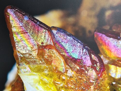 IMG_20251228_155324 IMG_20251228_155324