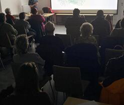 Lesní internet, dokonalé propojení mezi rostlinami