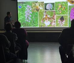 Houby pomáhají orchidejím.