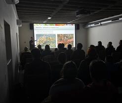 Spolupracují však i s dalšími rostlinami, toto soužití se nazývá mykorhiza.