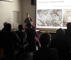 Podhoubí je složeno z vláken 20x tenčích než lidský vlas.