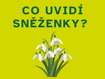 Samoobslužné dílničky - Co uvidí sněženky?