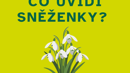Samoobslužné dílničky - Co uvidí sněženky?