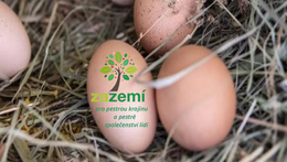 VI. Slepičí konference