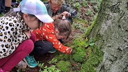 PŘÍMĚSTSKÝ TÁBOR - Tajemství lesního vládce 