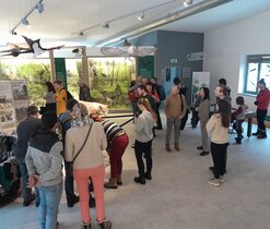 vernisáž výstavy Návrat vlků vernisáž výstavy Návrat vlků