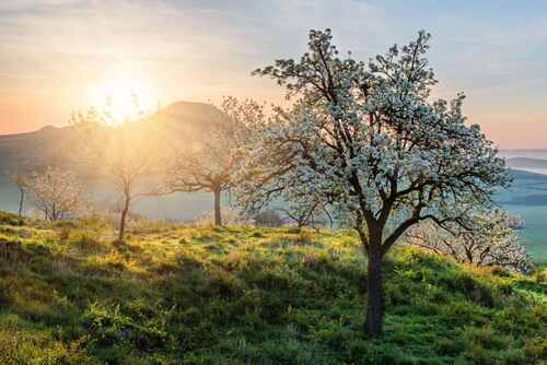 JPohled na jarní Ranou v CHKO České Středohoří.