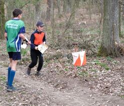 orientační běh - lampionek orientační běh - lampionek