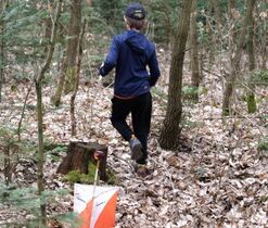 orientační běh orientační běh