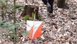 Hromniční trápení 2026