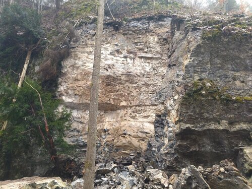 628155131_1521700063293352_8113687911618375044_n 628155131_1521700063293352_8113687911618375044_n