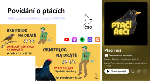 Odkazy na webové stránky věnující se ptákům Odkazy na webové stránky věnující se ptákům