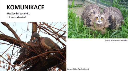 komunikace komunikace