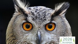 Soví noc v Domu přírody