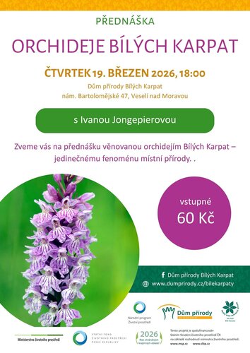 Přednáška orchideje