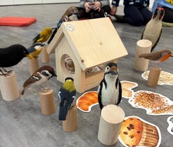 Copak ptáčku do zobáčku?