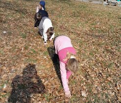 "čárování" vlků