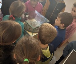 Co ukrývá vlčí trus?