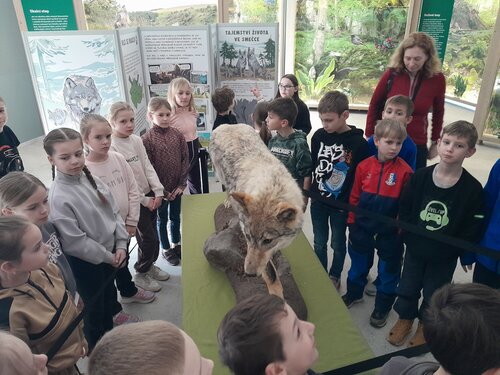 Výukový program O vlkovi