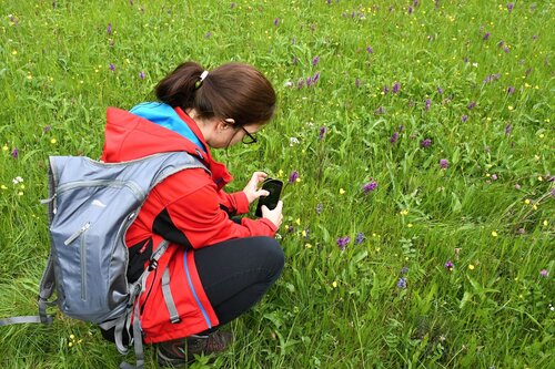 SL4_Do parku v ML orchideje_2023_Coufalík (2) SL4_Do parku v ML orchideje_2023_Coufalík (2)