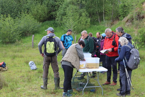 SL5_Milíkov_Mávr (1)