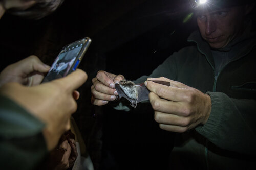 SL11_Netopýří noc Jeroným_Jakub Rund (2) SL11_Netopýří noc Jeroným_Jakub Rund (2)