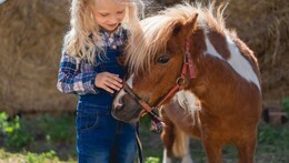Farmářský den ve Tvarožné Lhotě