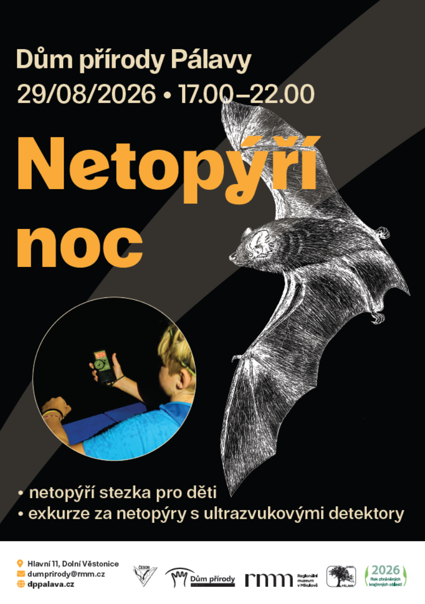 2026-08_netopyri 2026-08_netopyri