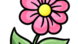 Botanická exkurze