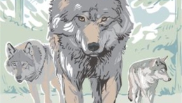 Výstava - Návrat vlků